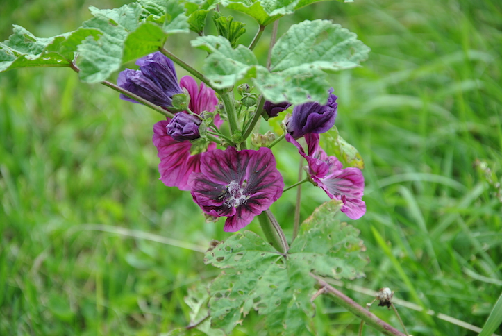 Catéchisme | Camp de catéchisme, 2014